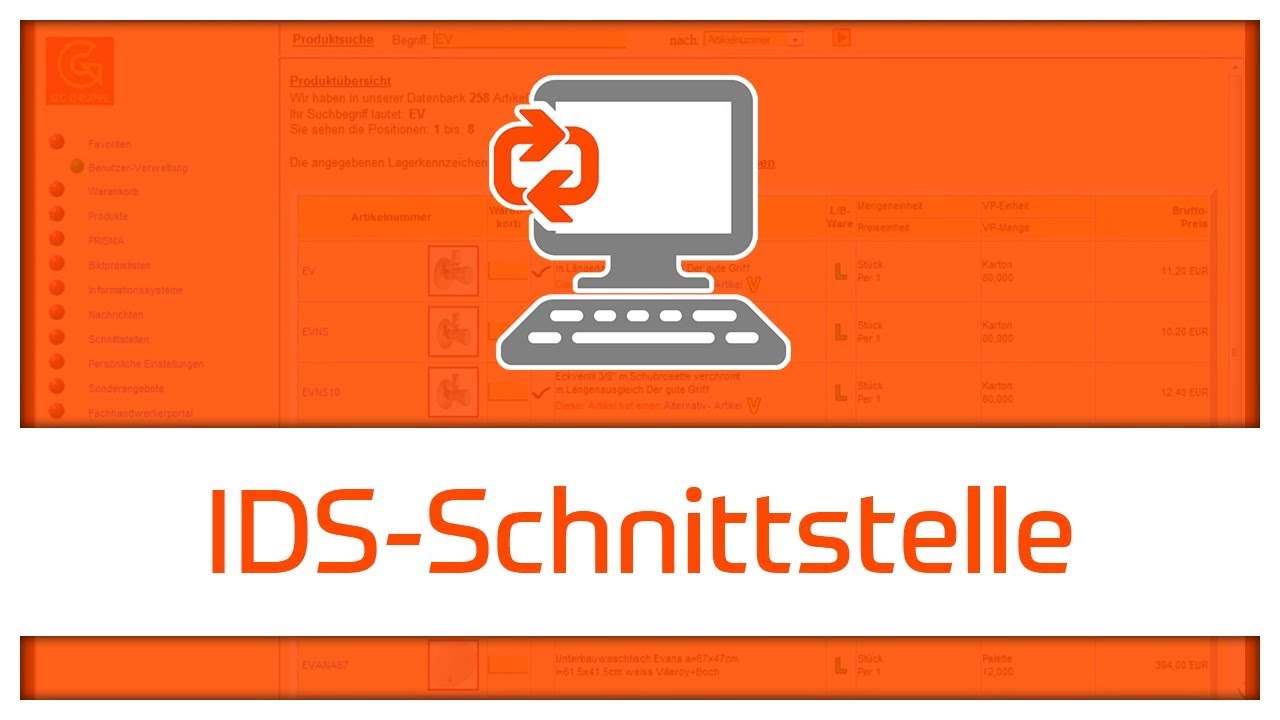 IDS Connect Schnittstelle