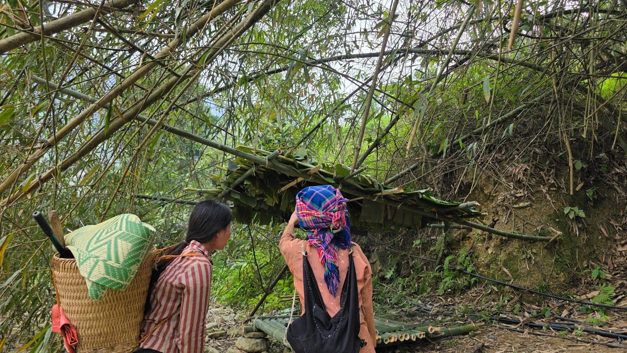 Бедная старушка и бездомная девочка решили построить дом из бамбука.