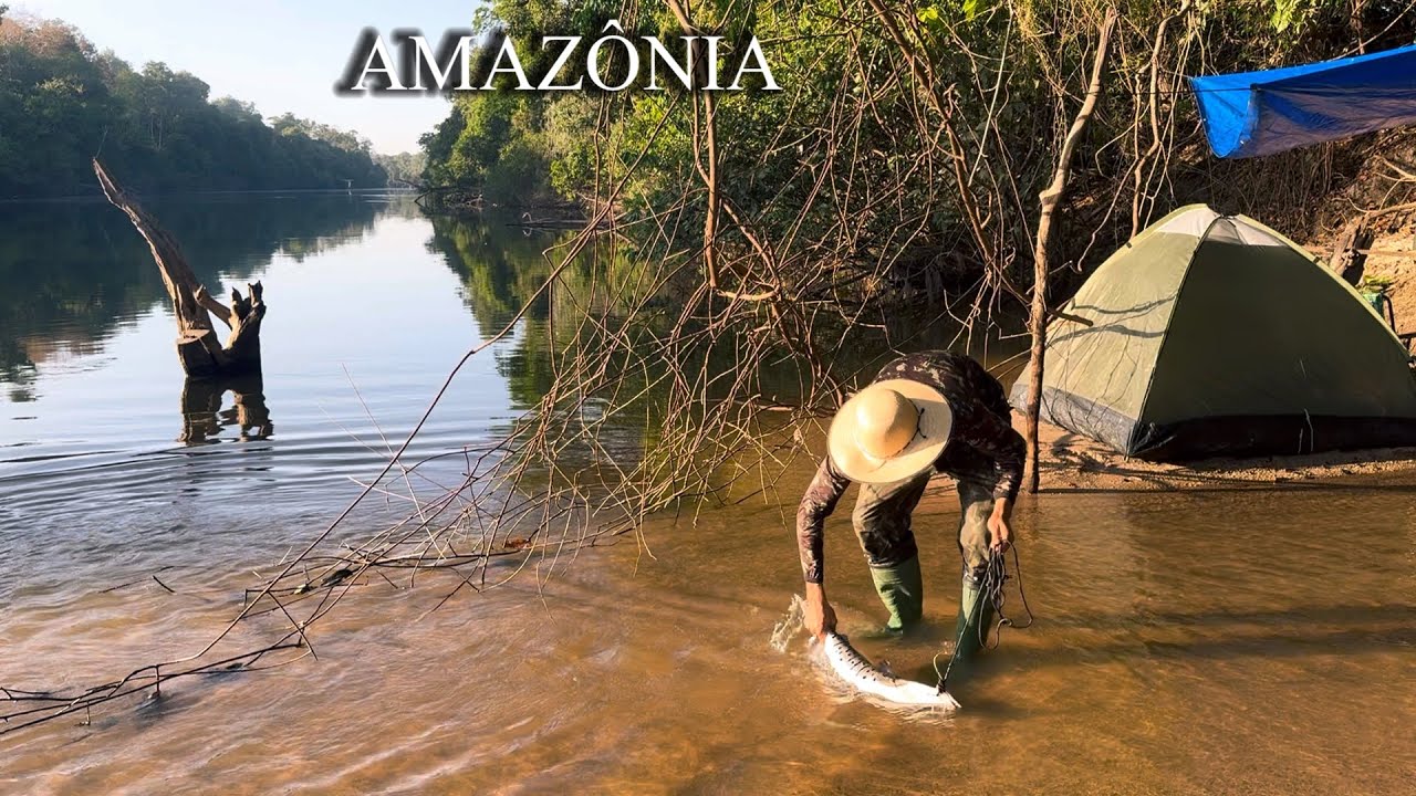 🏕️ ACAMPANDO e PESCANDO achei o Ninho dos PEIXES de COURO deu foi certo🎣😁! Fiz PEIXE no molho😋