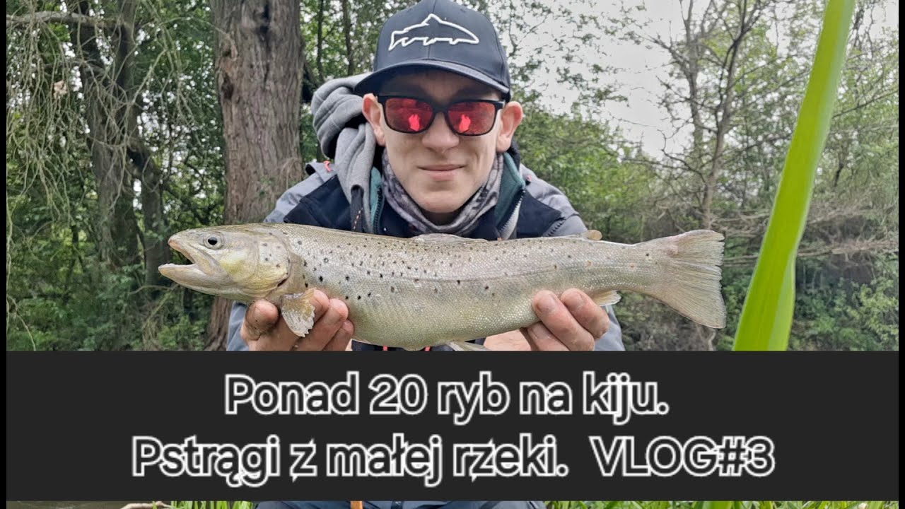 🔥Ponad 20 ryb na kiju.🔥 Pstrągi z małej rzeki🔥|VLOG#3|🎣