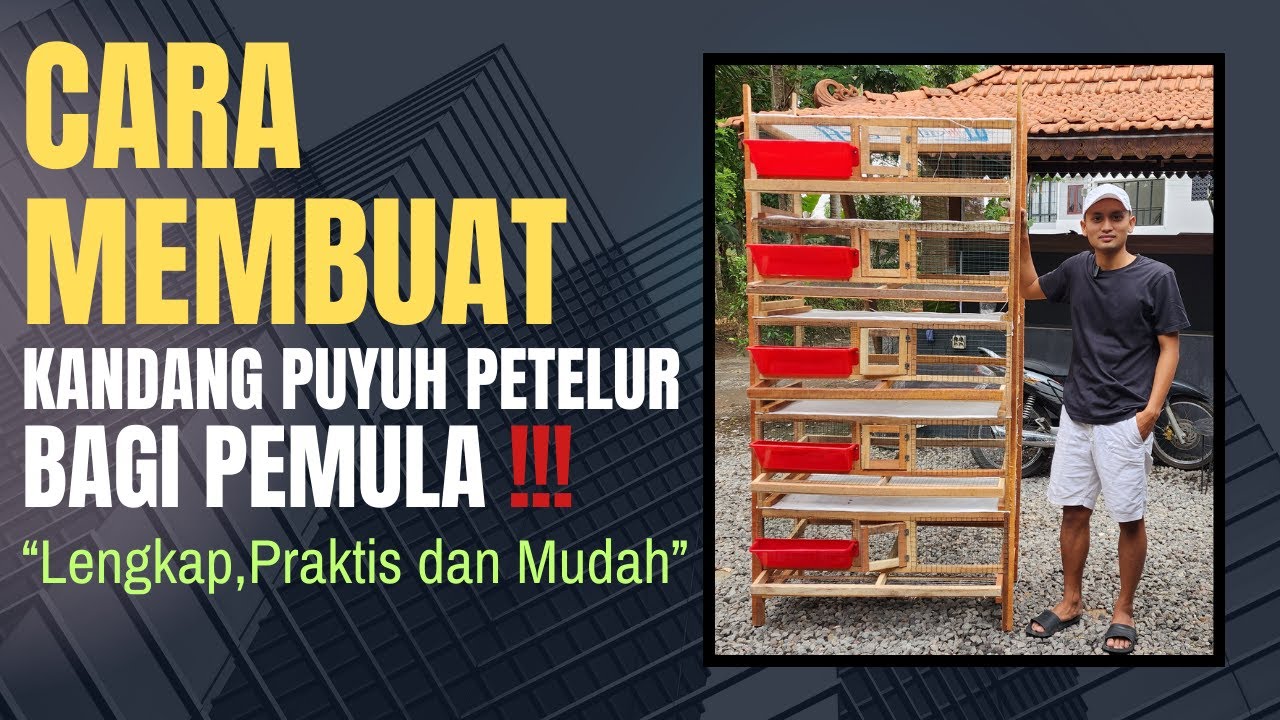 CARA MEMBUAT KANDANG PUYUH PETELUR BAGI PEMULA, LENGKAP !!!