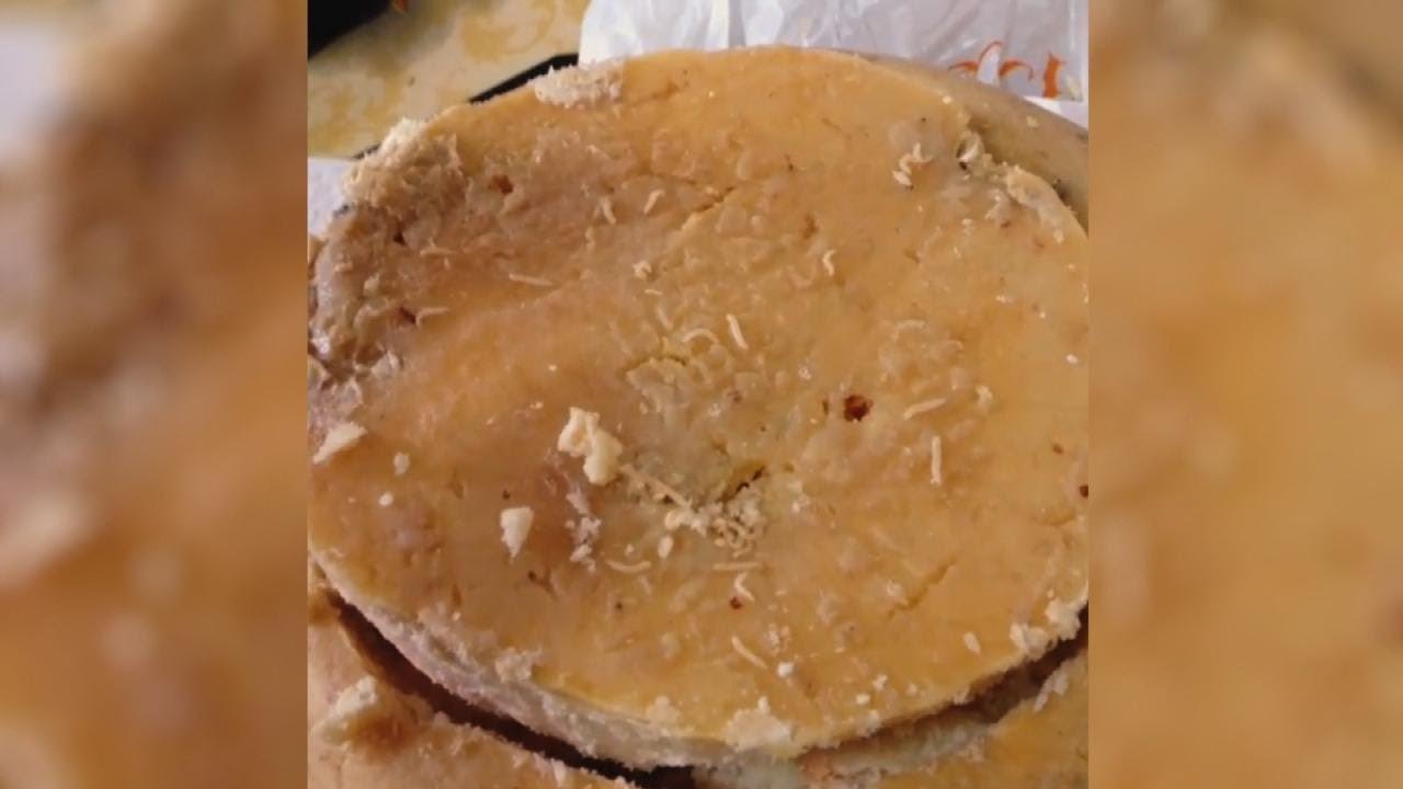 Cheese Crawling with Maggots?! Would You Try This Italian Delicacy?