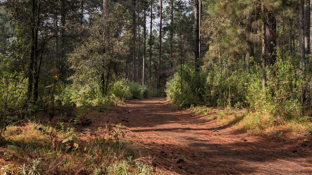 Aquí se respira paz y tranquilidad y sabiduria #nature #travel 