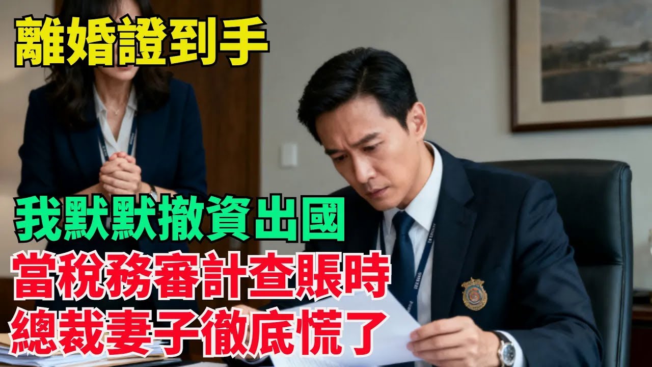 離婚證到手，我默默撤資出國，當稅務審計查賬時總裁妻子徹底慌了【清風與你】#激情故事#大彬情感#夢雅故事#小說#爽文
