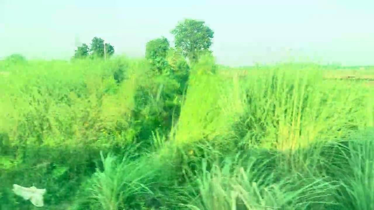 Train window view, near punjab india