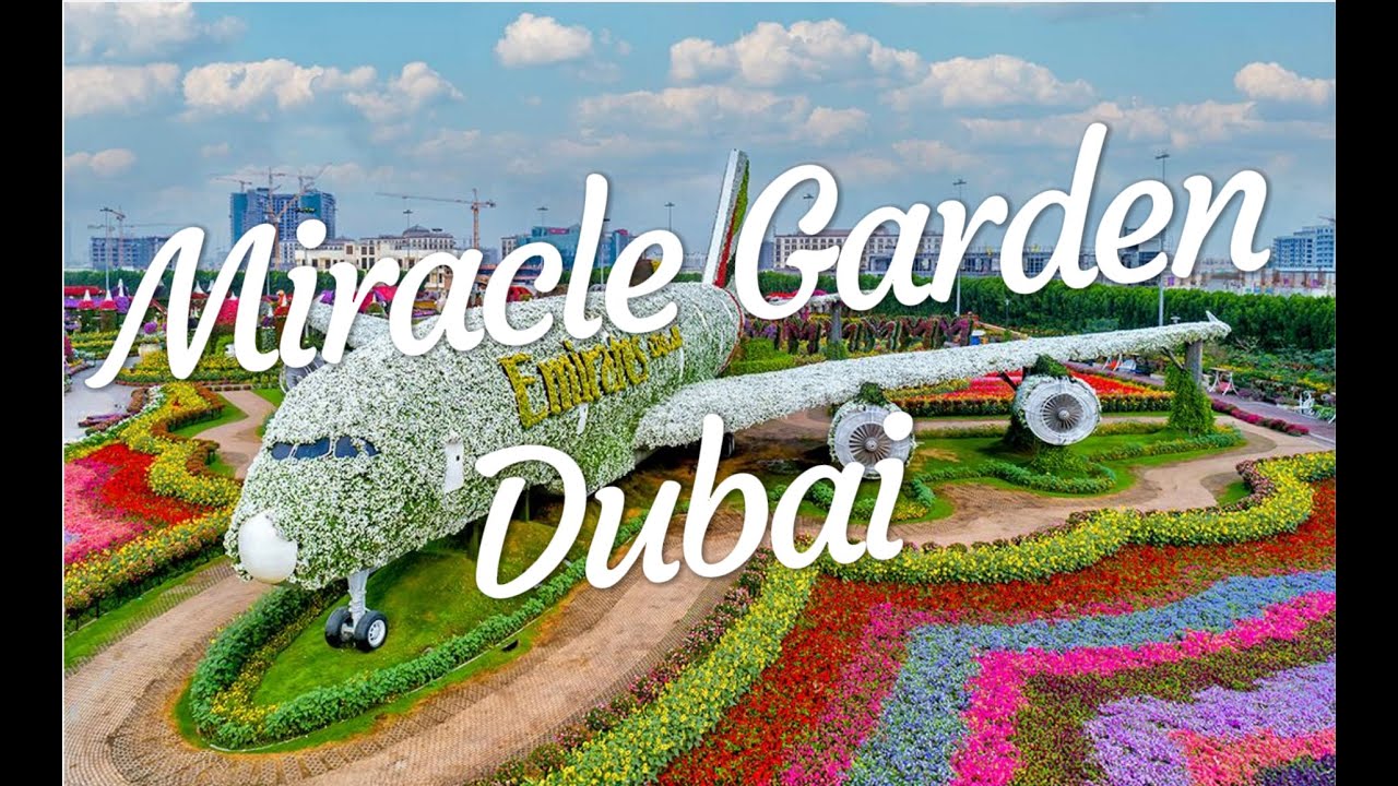 Miracle Garden Dubai - WORTH VISITING OR NOT #kids #travel #attractionforkids