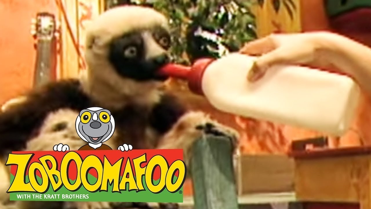 🐒 Zoboomafoo 🐒 122 | Pets - Full Episode | Kids TV Shows | Funny Animals