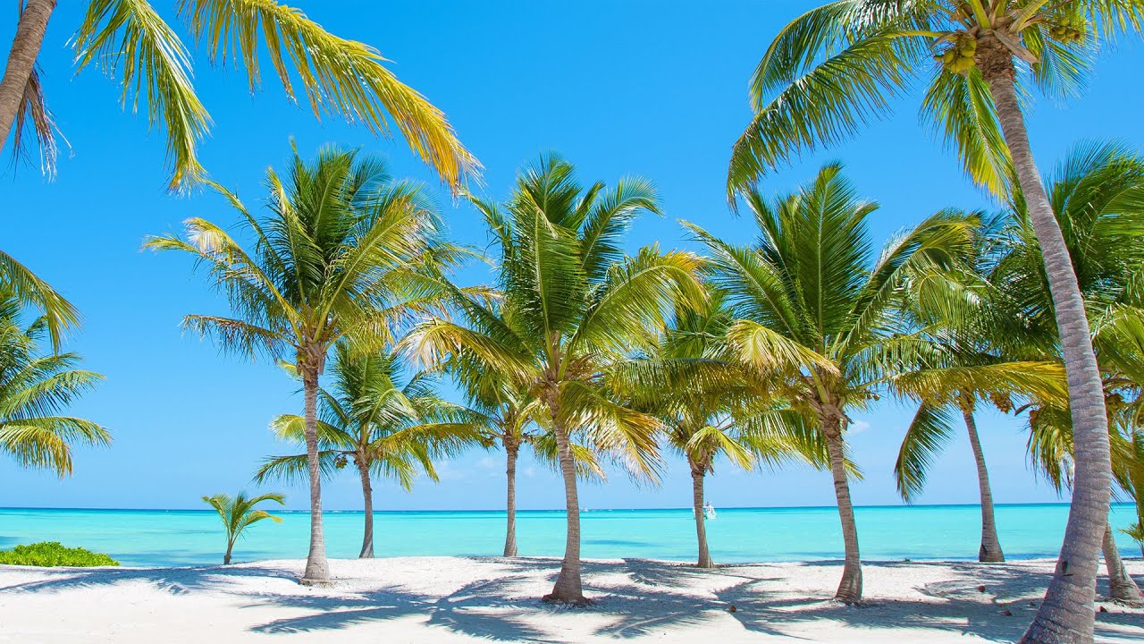 Beach Bossa Nova Music with Stunning Islands View & Ocean Waves Sounds for a Tranquil Start