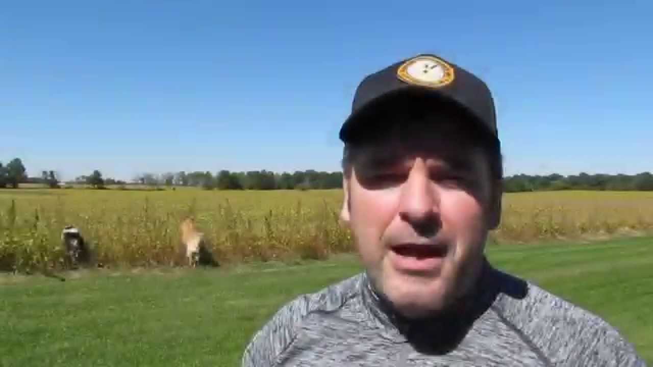 Dogtra 1900s VS E-Collar Technologies K9-400