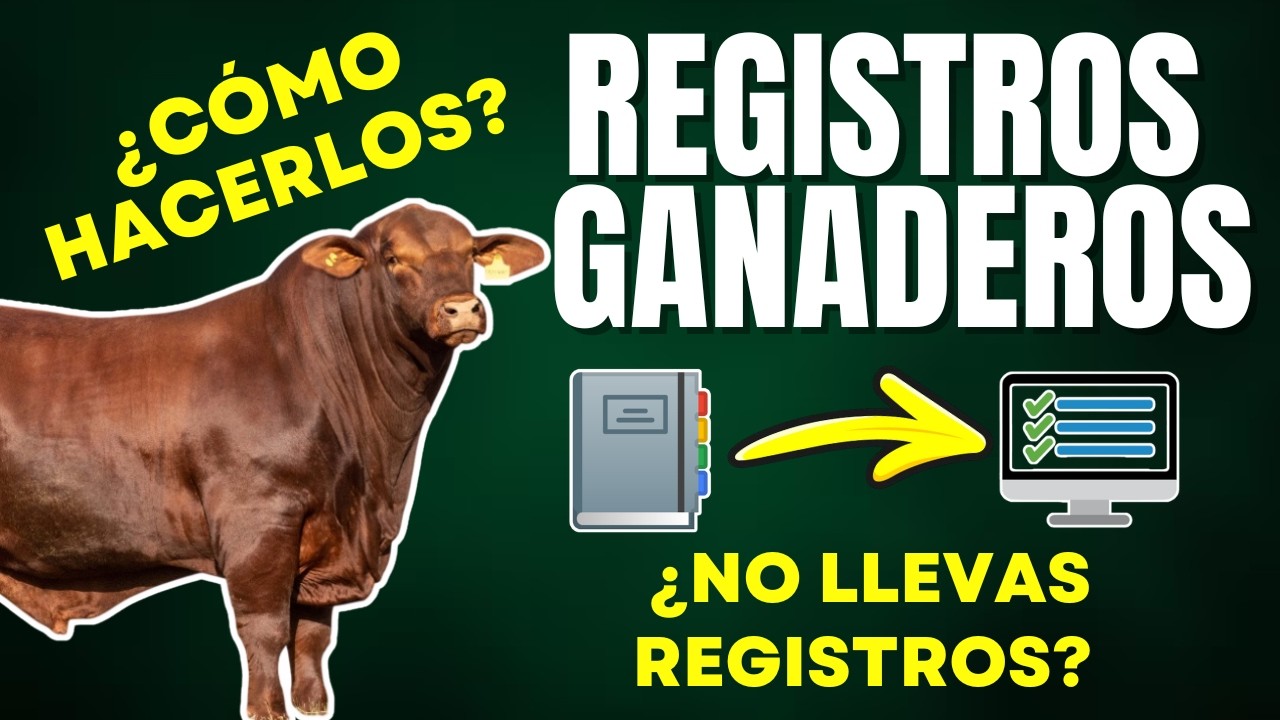 ¿CÓMO LLEVAR REGISTROS EN MI GANADO?: LA ÚNICA HERRAMIENTA PARA EVALUAR TU PRODUCCIÓN  ✅🐂