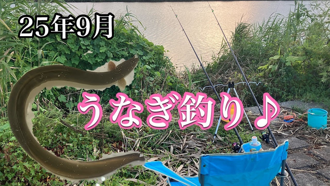 【25年9月】台風後に近所の川でウナギ狙ってみた！