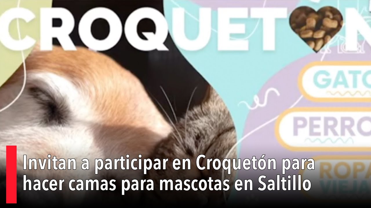 🐾 Invitan a participar en Croquetón para hacer camas para mascotas en Saltillo