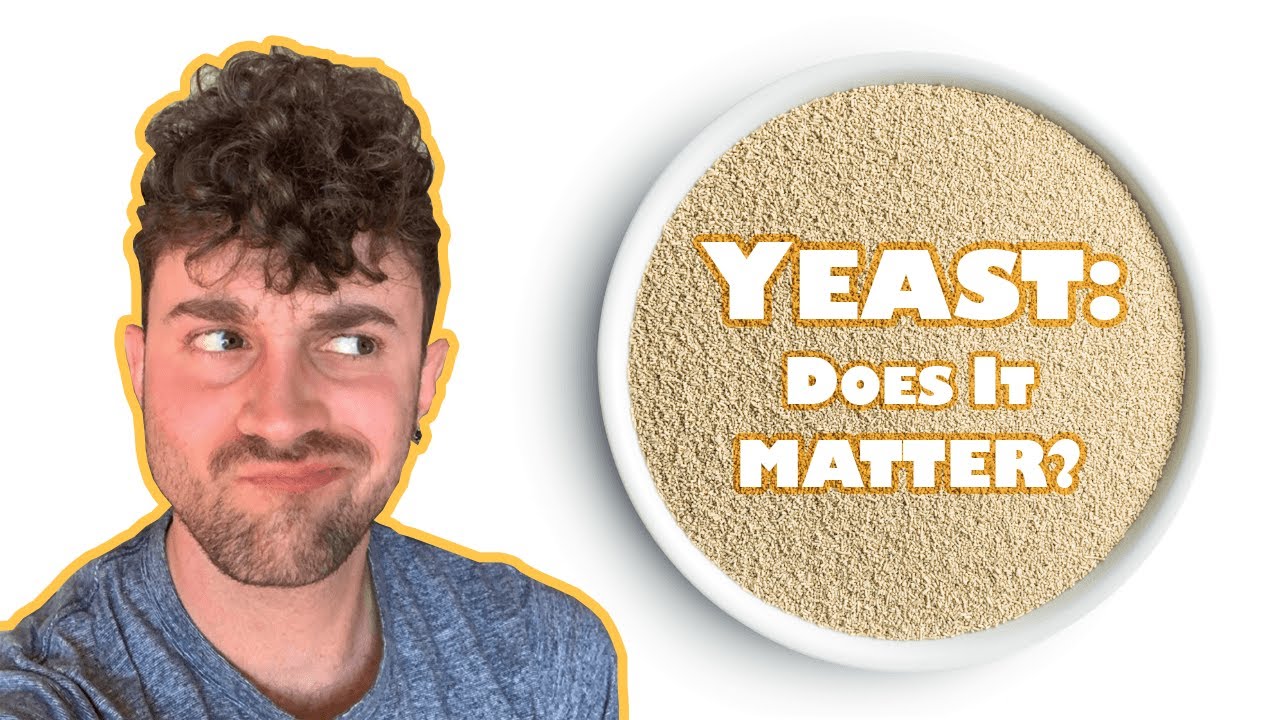 Does size...er, yeast, matter?: BREAD yeast vs. WINE yeast