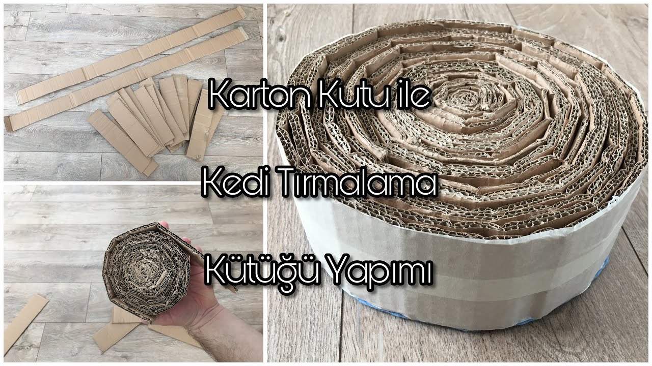 Kediler için Karton Kutu ile Tırmalama Kütüğü Yapımı