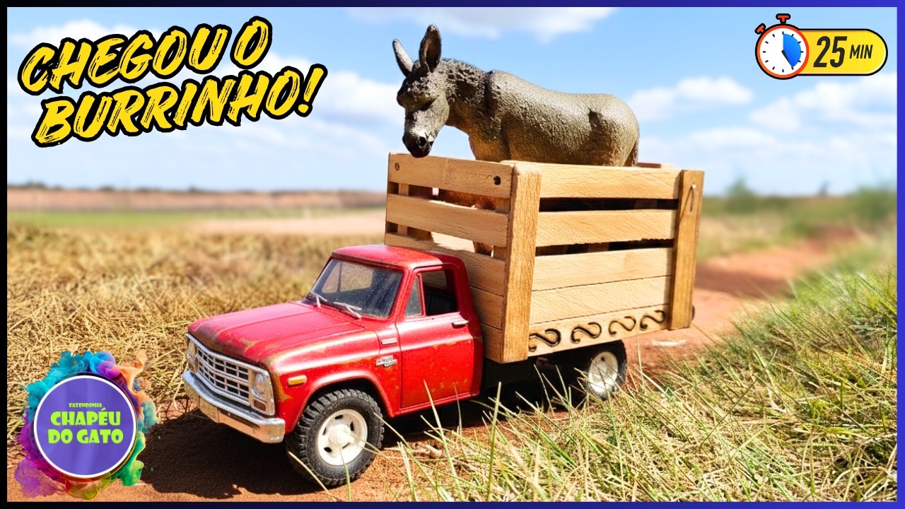 Chegou o Burrinho na Nova Fazenda de Brinquedo!