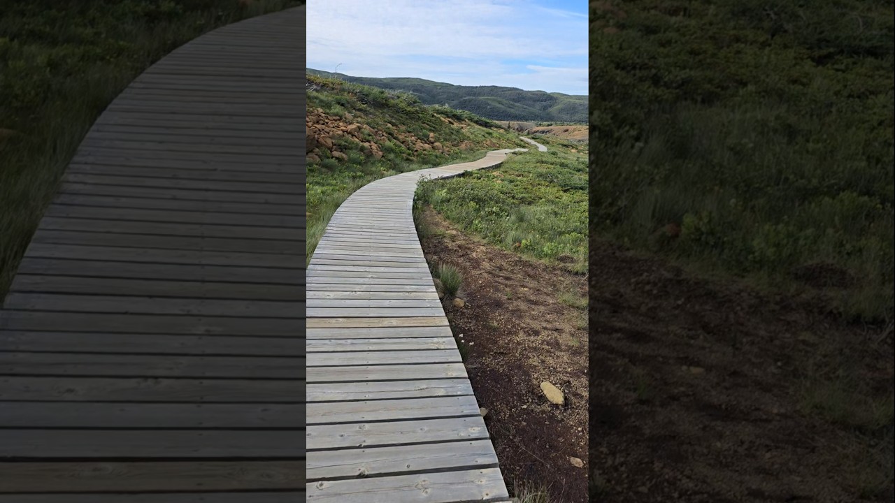 Tablelands: Journey Through Scenic Landscapes & Unique Ecosystems #shorts #travel #foryou #ytshorts