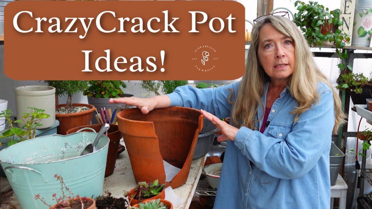 Succulent Fairy Garden | Budget Garden Ideas