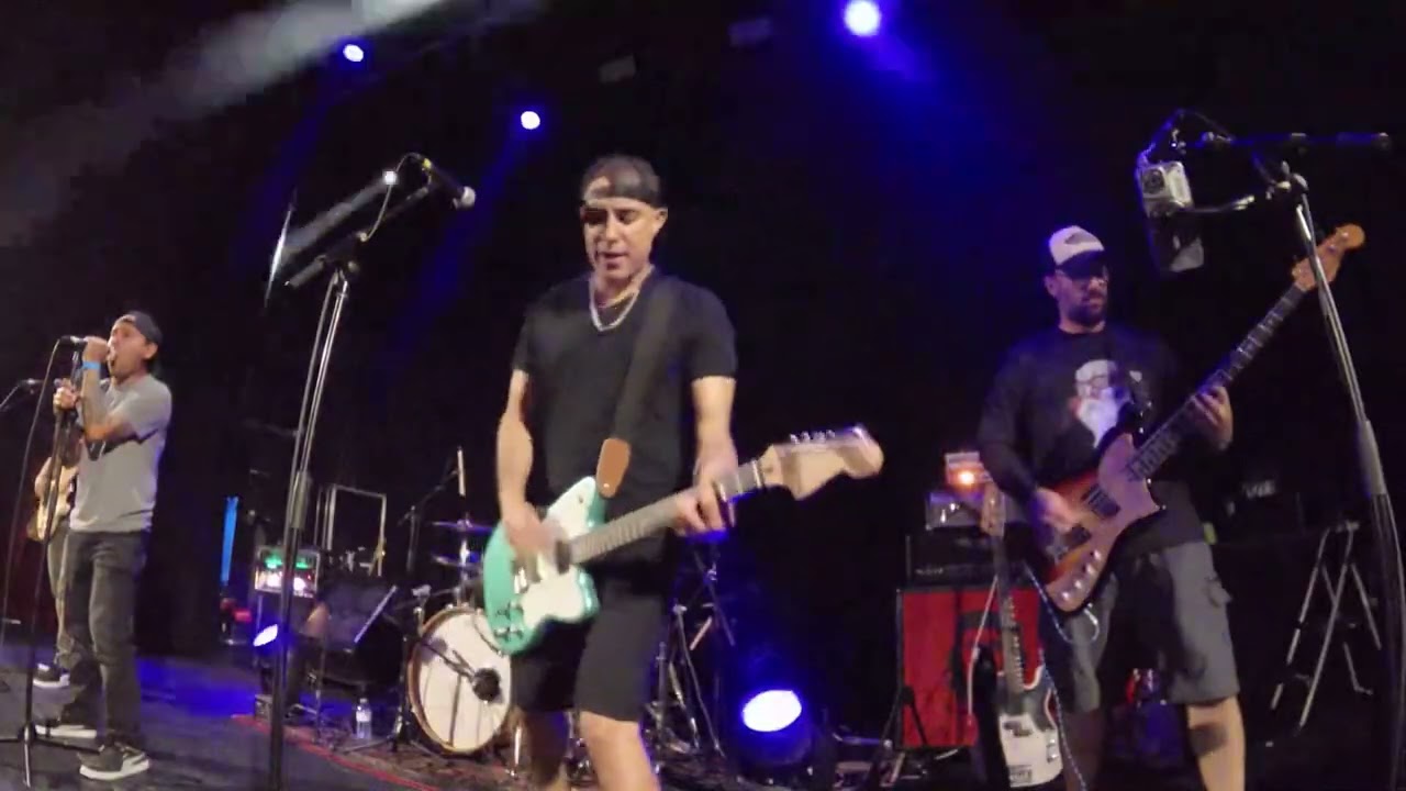 Punk in Public - Carousel LIVE (blink 182)