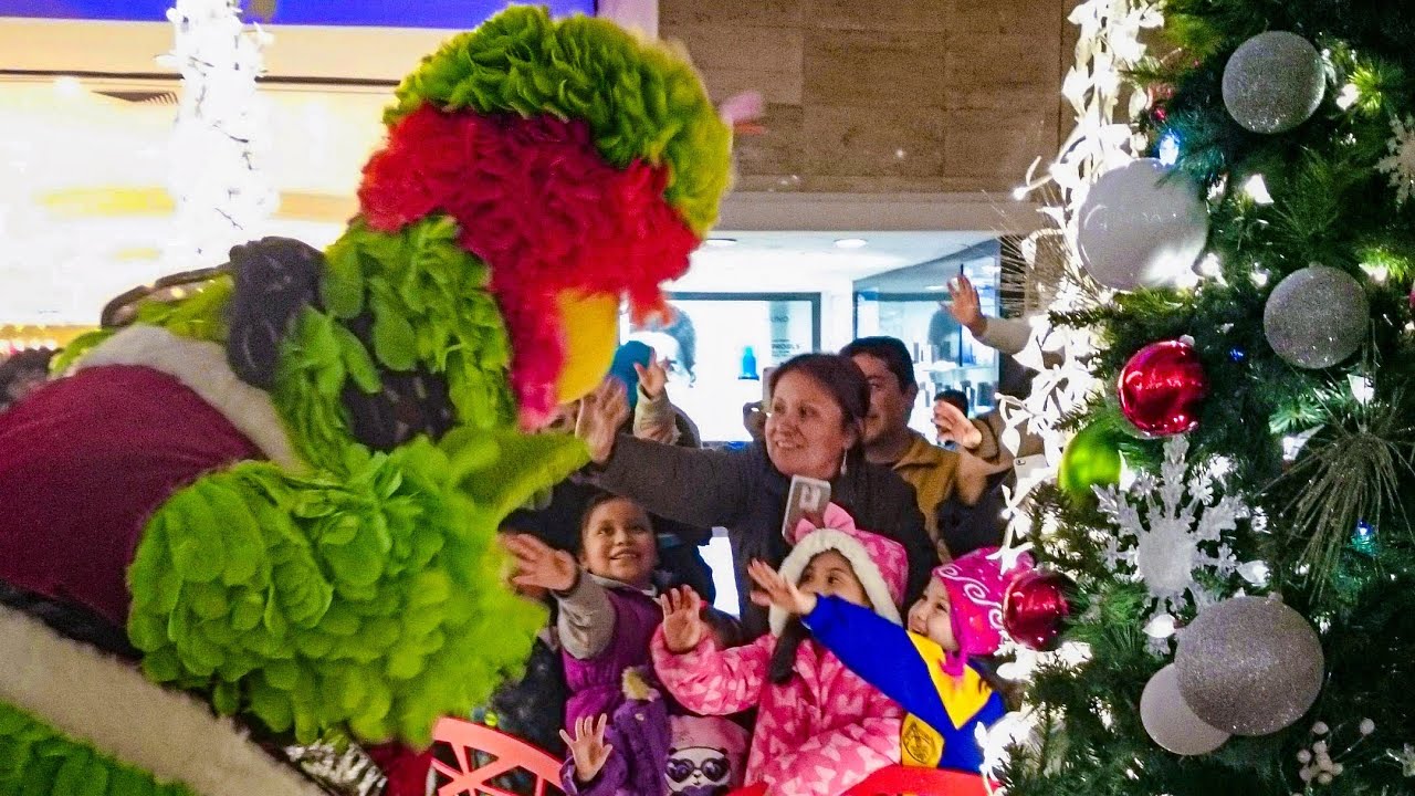 Parque Plaza Sesamo 2014 | Frente al árbol de Navidad (musical) en Galerias Monterrey | Rickyblog