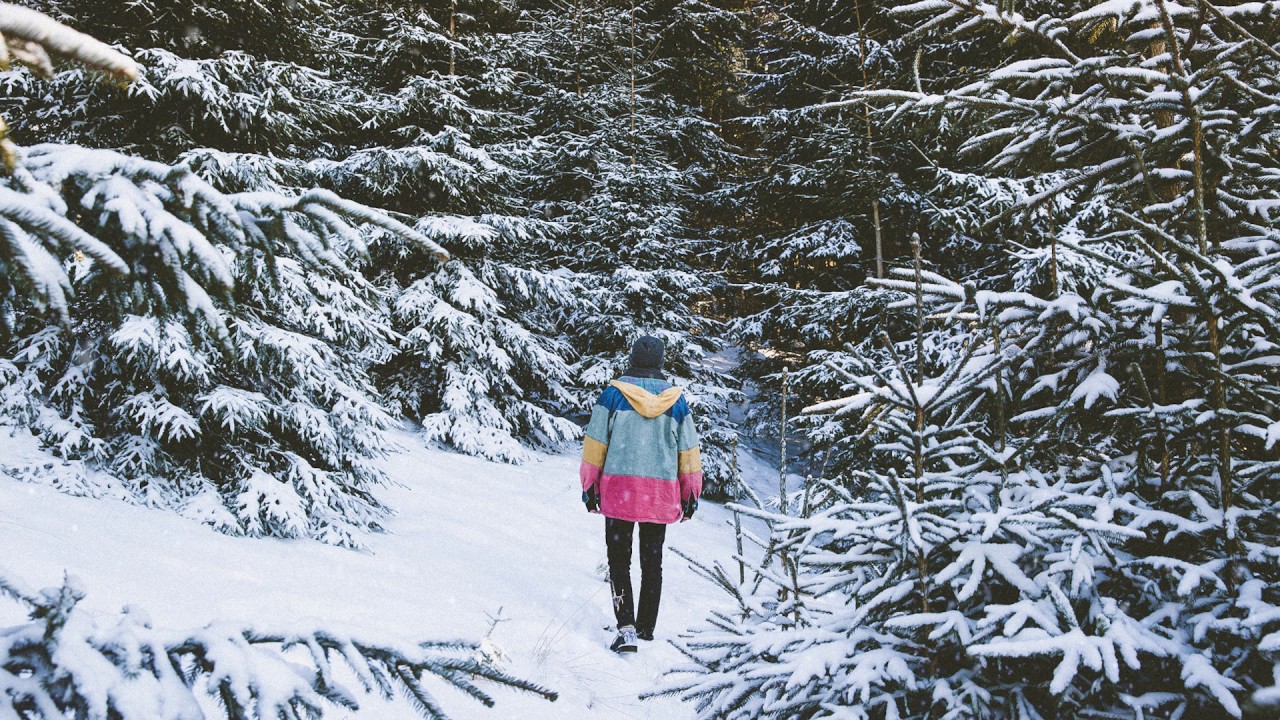 filous - Let It Snow