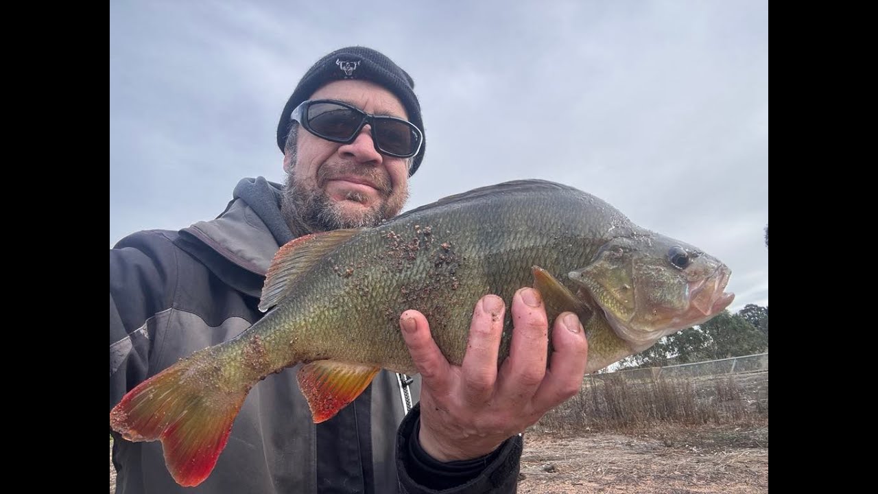 My top 5 Redfin lures