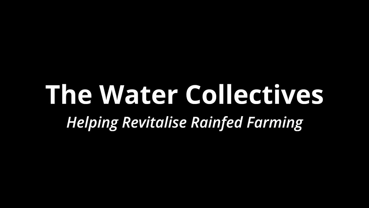 The Water Collective &ndash; Helping Revitalise Rainfed Farming