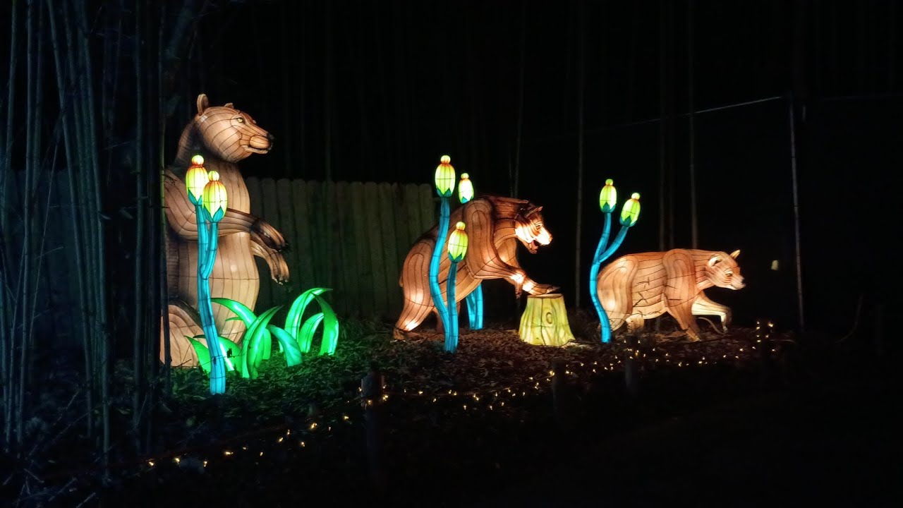 IllumiNights: A Lantern Festival | Full Walkthrough | Nighttime Tour | Zoo Atlanta