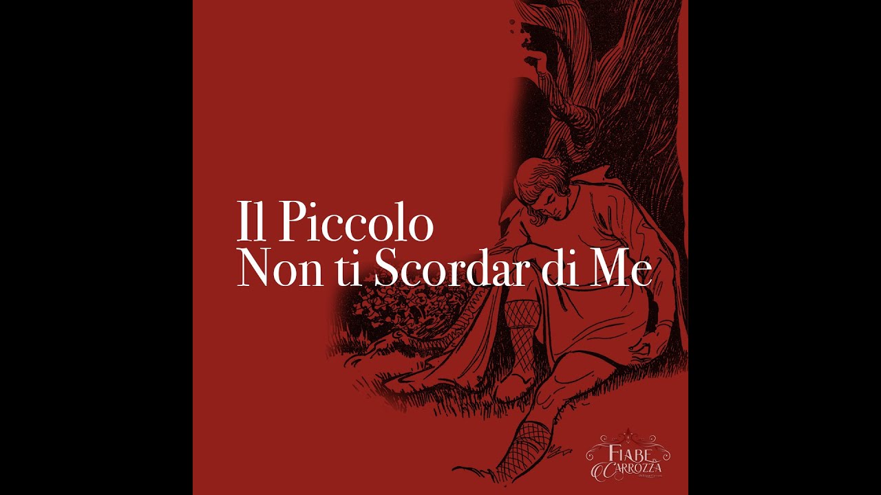 IL PICCOLO NON TI SCORDAR DI ME