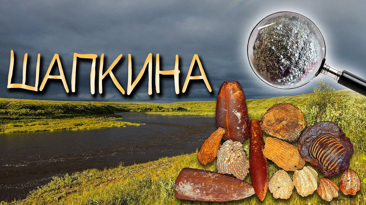 Шапкина: Пробный заплыв, окаменелости, рыбалка