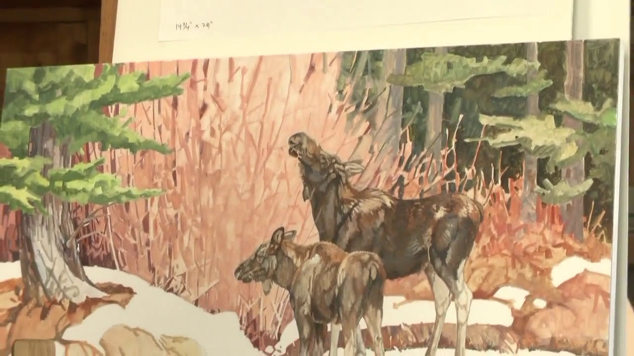 Artist Voices: A Day in the Studio with Wildlife Artist Laney