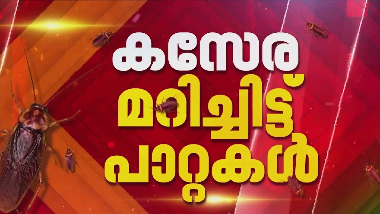 'നീറ്റായി തോറ്റു', കസേര മറിച്ചിട്ട് പാറ്റകള്&zwj;, രാജ്യത്ത് പാറ്റ വിപ്ലവം | CJP Protest
