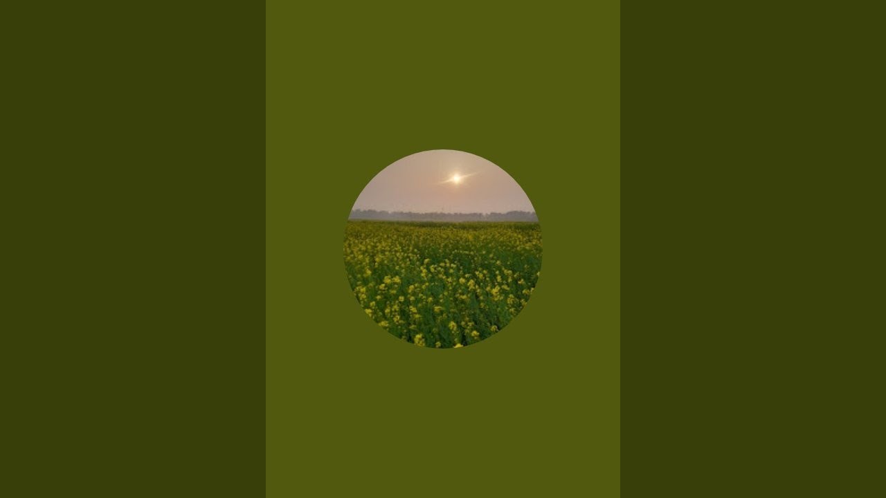 Arabic Literature is live