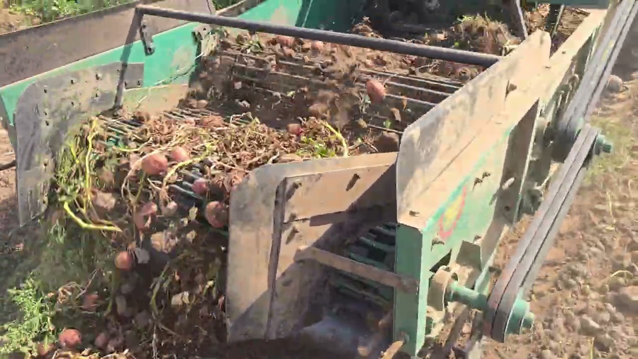 Potato Digger Dabal Jali + Roller + Damru Model 2026
