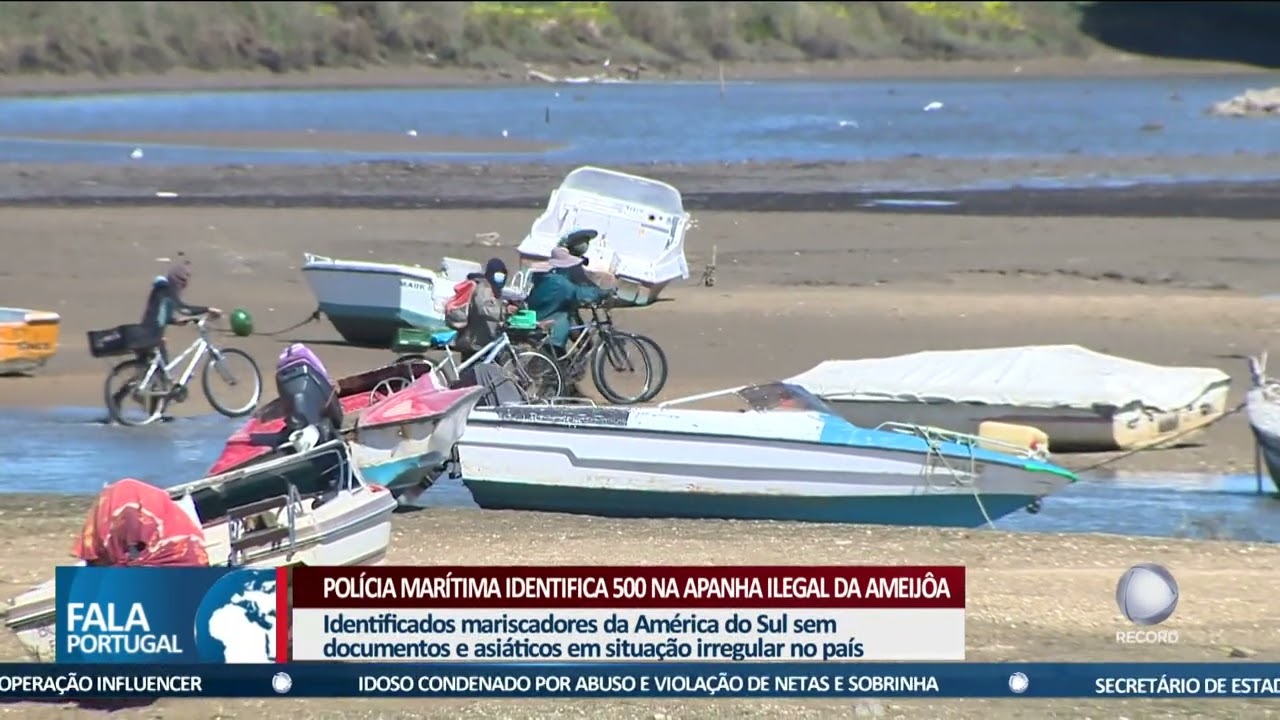 Polícia Marítima identifica 500 na apanha ilegal da ameijoa