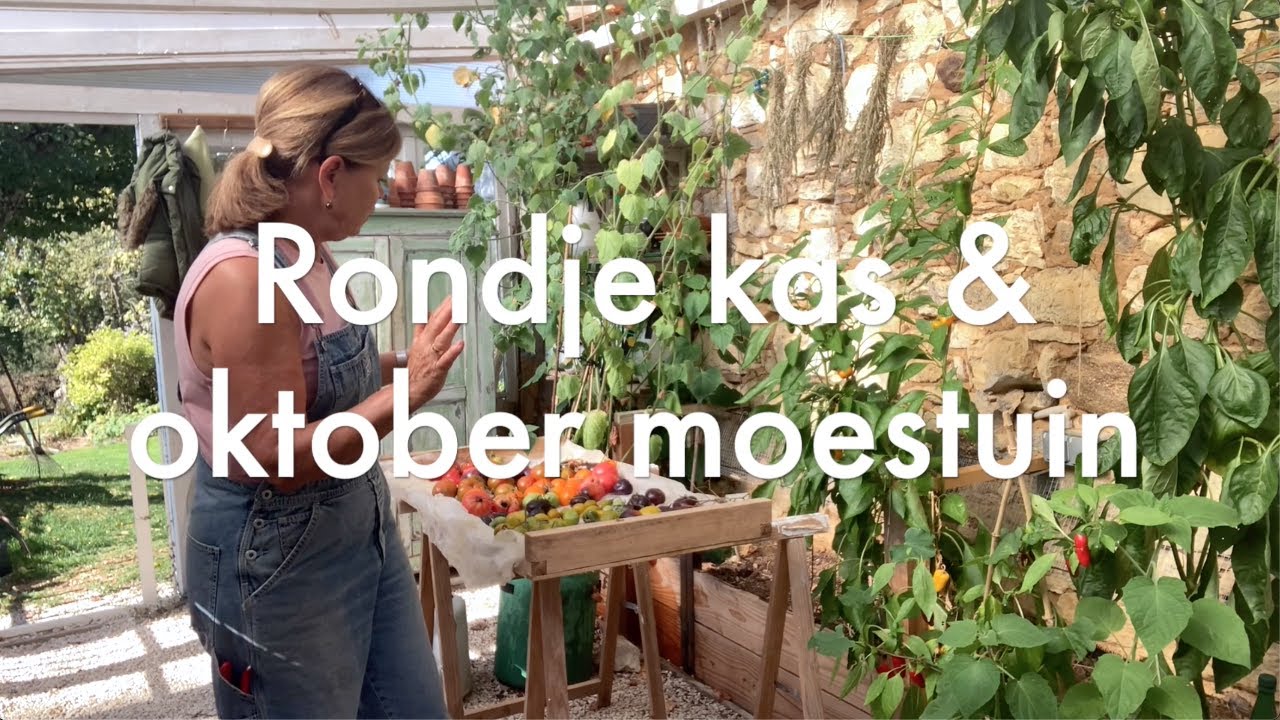 Ini's Moestuin #118 Oktober: rondje kas & moestuin met allerlei tips ter voorbereiding op de winter.