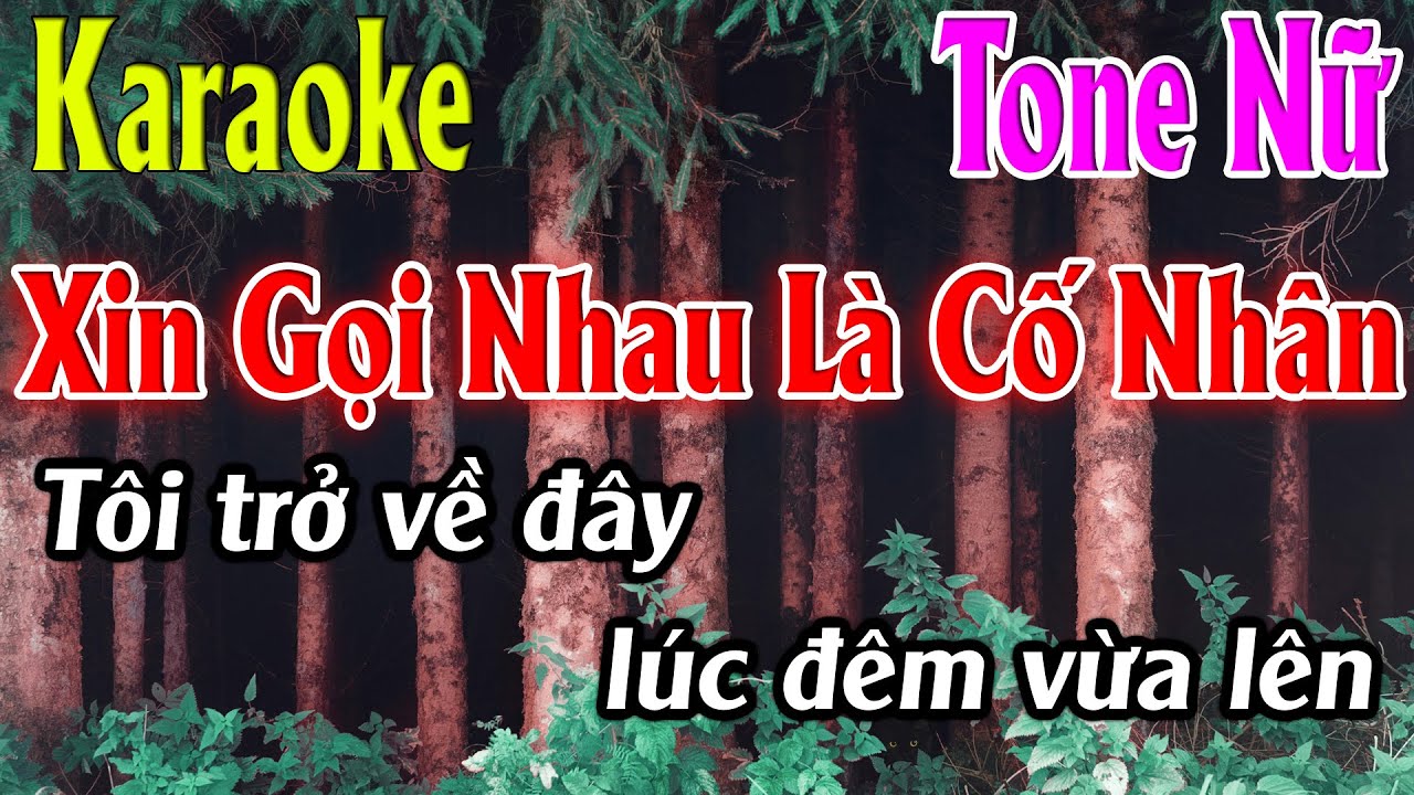 Xin Gọi Nhau Là Cố Nhân Karaoke Tone Nữ Karaoke Lâm Organ - Beat Mới