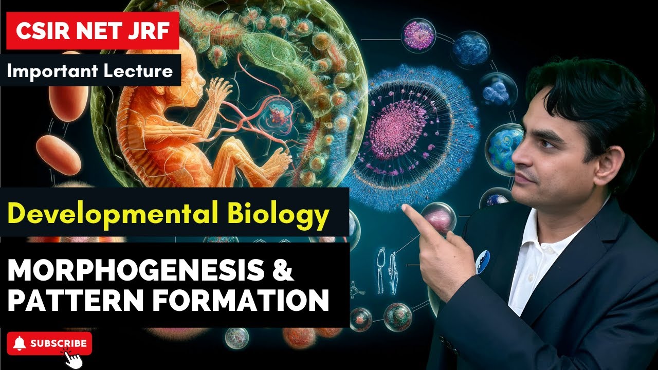 L-7 Morphogenesis and Pattern Formation I Developmental Biology I CSIR NET JUNE 2024 I IFAS