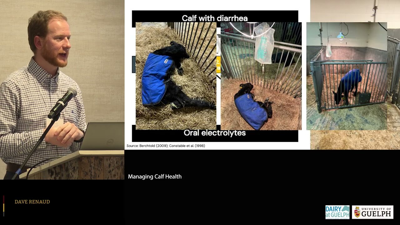 2025 Showcase Treatment of calf diarrhea Dave Renaud
