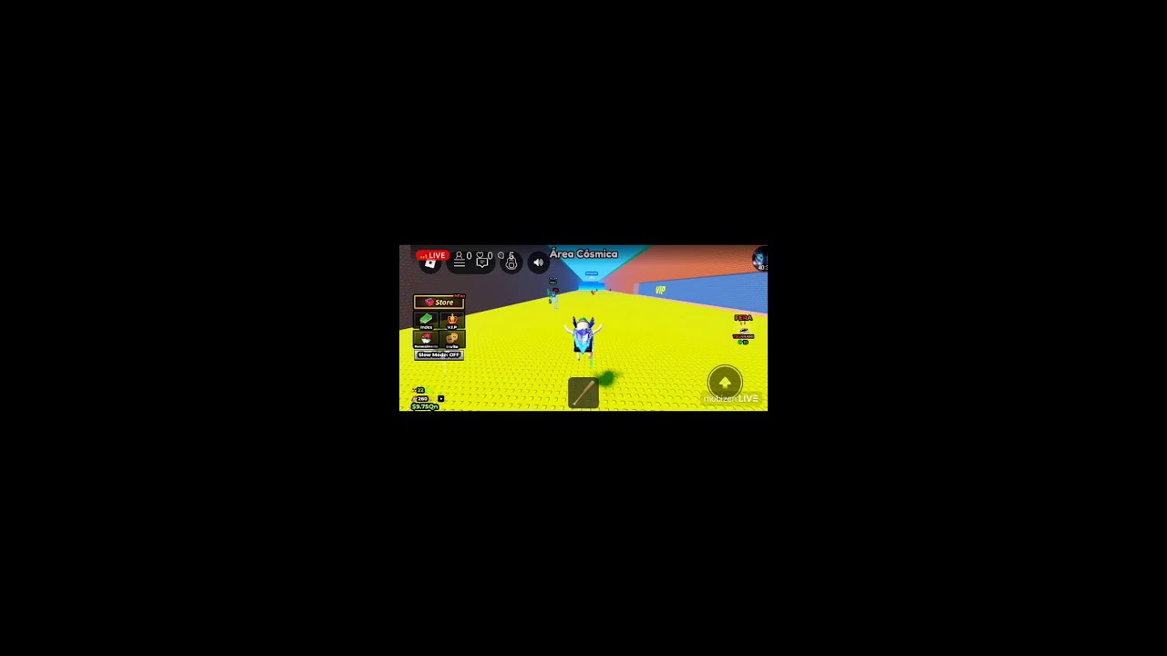 roblox/ff