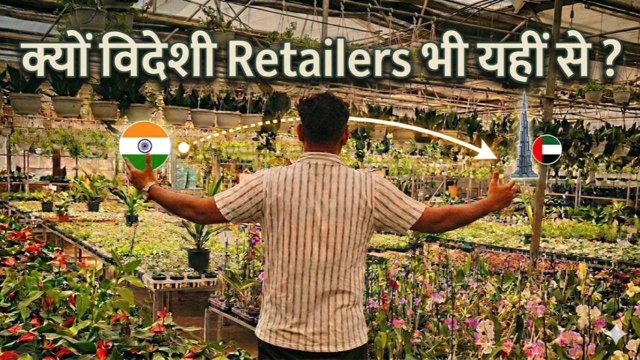 Wholesale vs Retail Price revealed @ Sanjay Nursery Pune [Complete Tour]