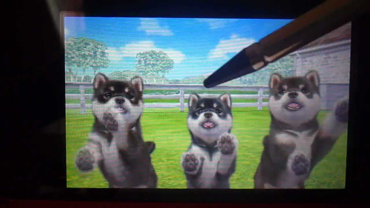 Nintendogs+cats: Le chenil P1