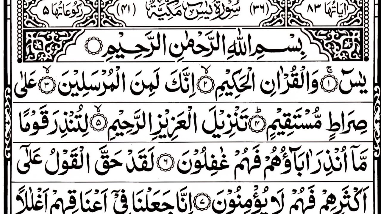 Surah Yaseen Surah Ar Rahman | Beautiful Quran Reaction | Surah Yasin Full (HD)