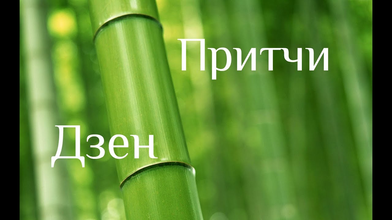 Притчи Дзен. Сказки Дикого Леса. Сборник историй, сказок и притч