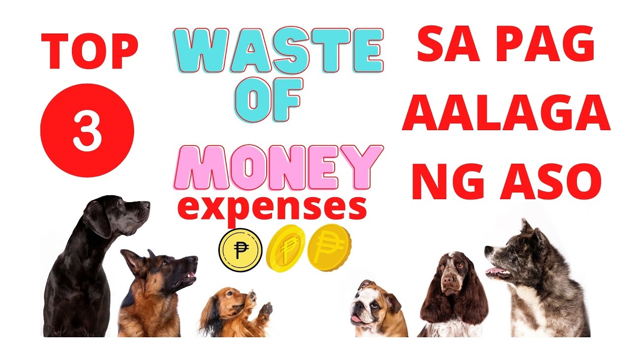 Top 3 Waste of Money Expenses sa pag aaso