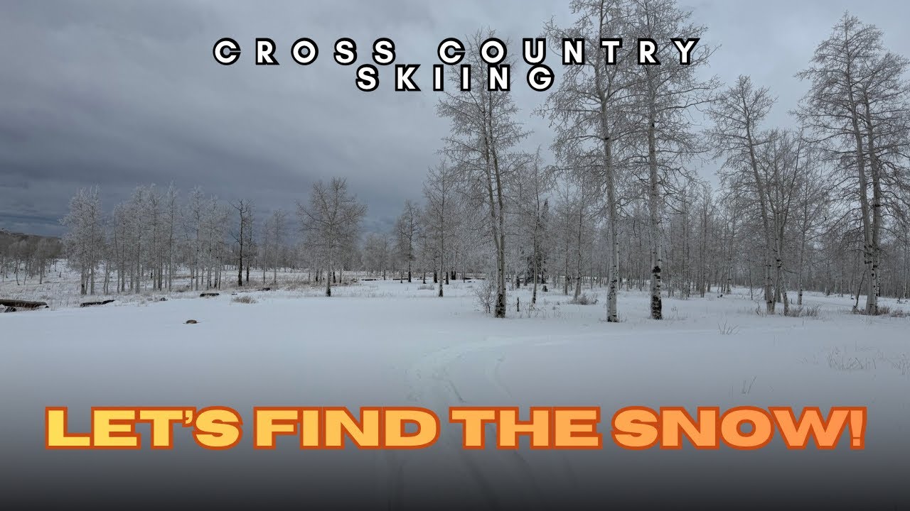 Let’s Go Cross Country Skiing!