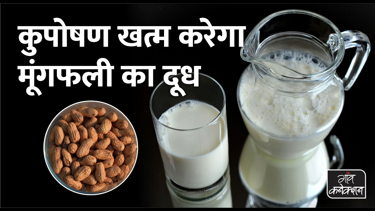 अब मूंगफली दूर करेगा कुपोषण - Peanuts Health Benefits || Peanut Milk Best Vegan Milk