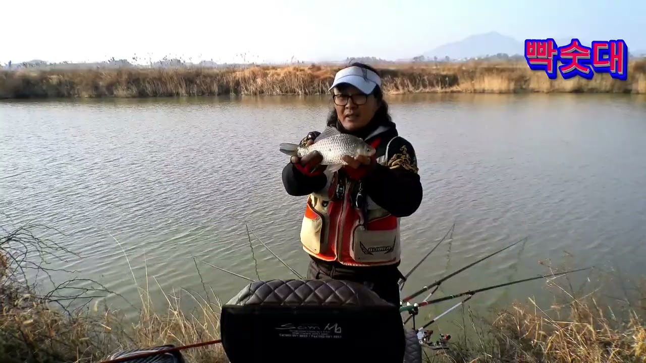 산란기철 강풍과 붕어의 역습 생자리 포인트위력