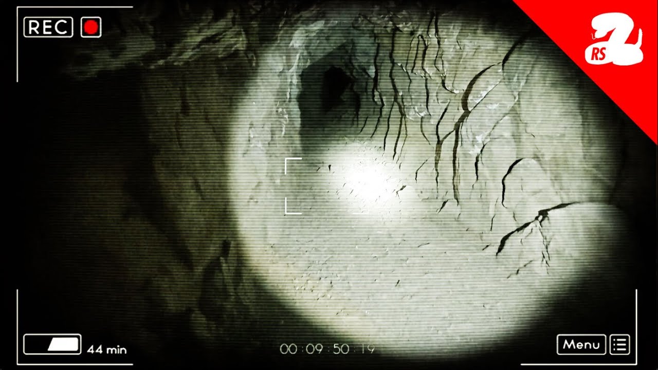 Searching For Rattlesnakes At Night [Raw Footage]