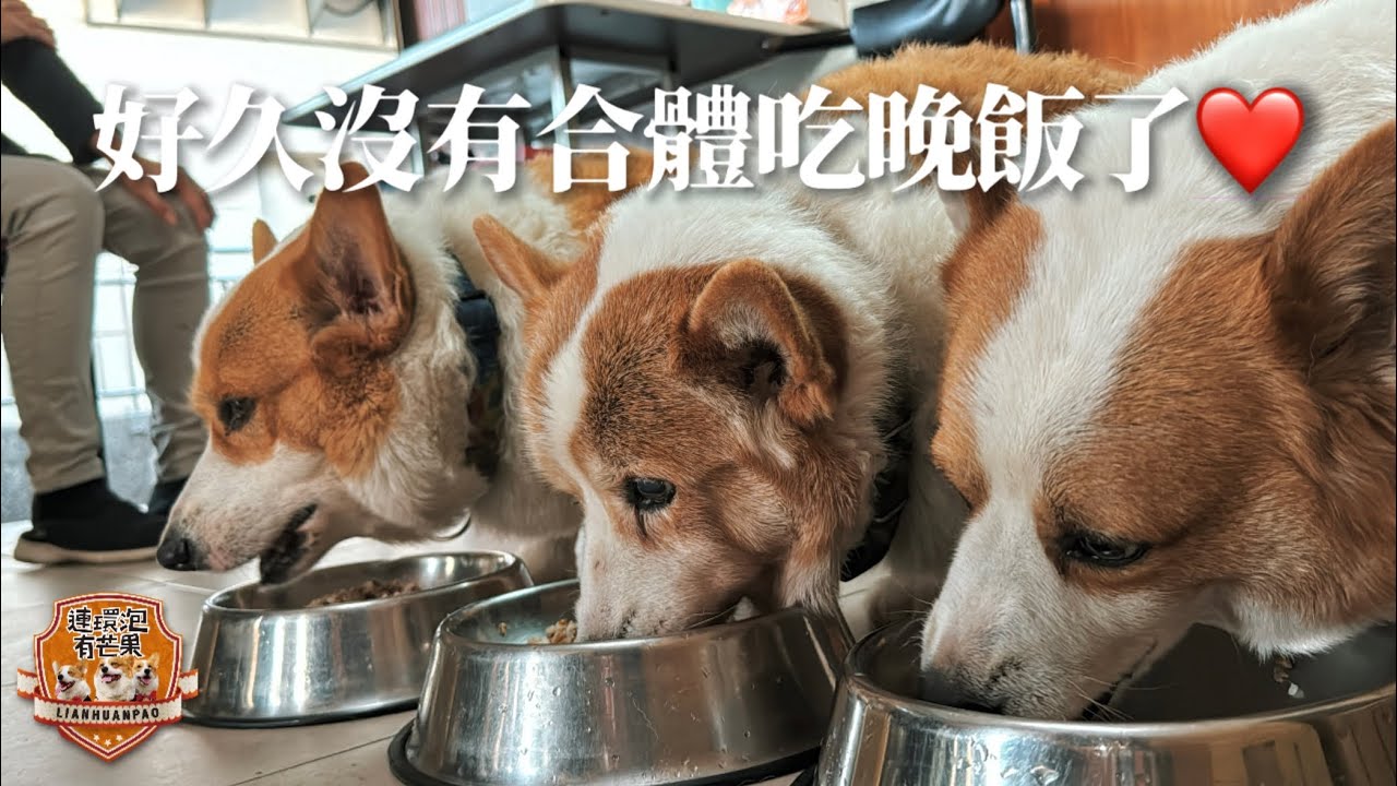 好久沒有合體吃晚飯了❤️