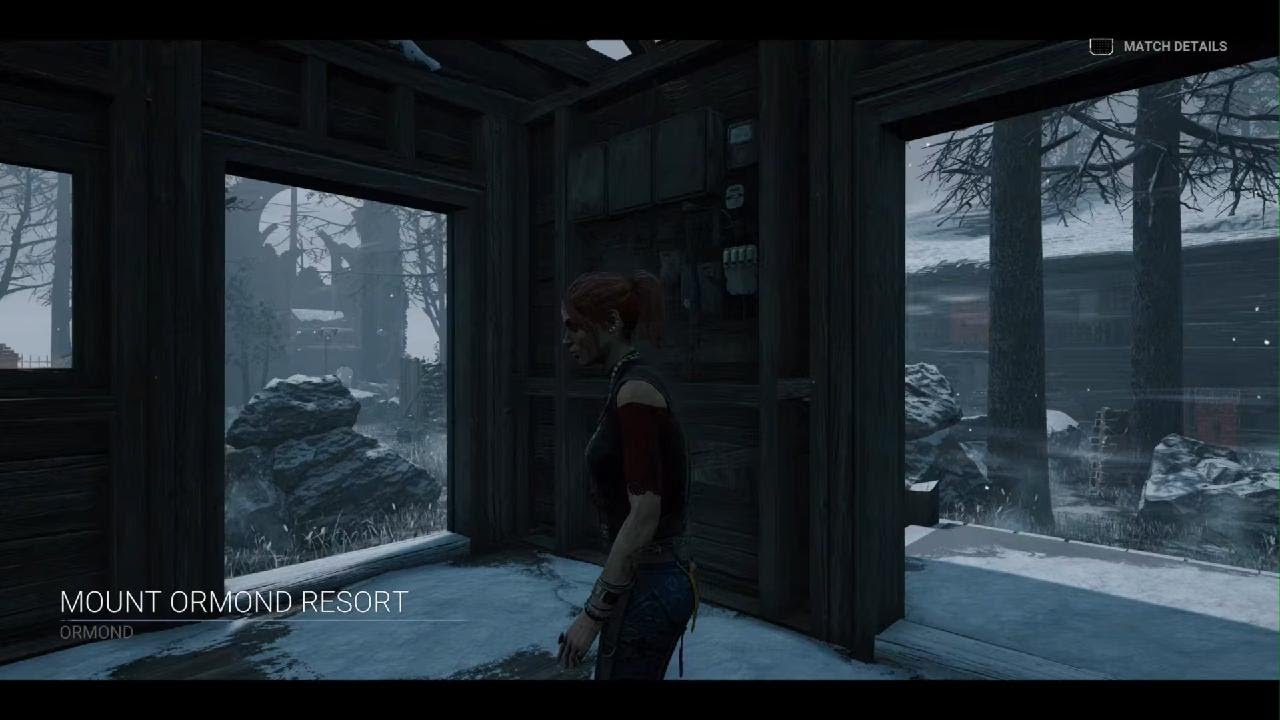 tried n save someone who was next to you dbd